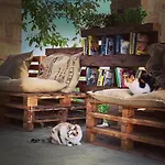 Pet And Breakfast Pet Friendly Moncalvo