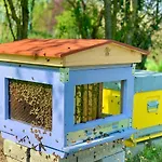 Appartement Pet And Breakfast Pet Friendly