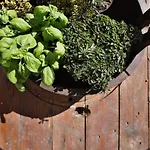 Appartement Pet And Breakfast Pet Friendly *