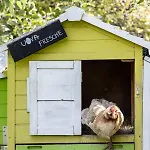 Pet And Breakfast Pet Friendly Moncalvo