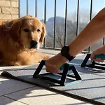 Appartement Pet And Breakfast Pet Friendly
