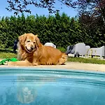 Pet And Breakfast Pet Friendly Appartement Moncalvo