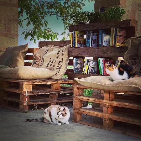 Pet And Breakfast Pet Friendly Moncalvo