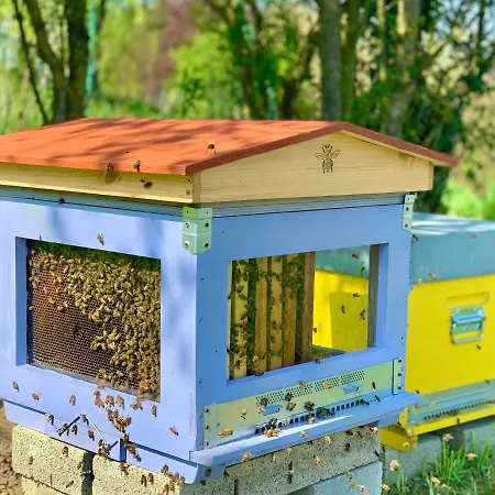 Apartmán Pet And Breakfast Pet Friendly