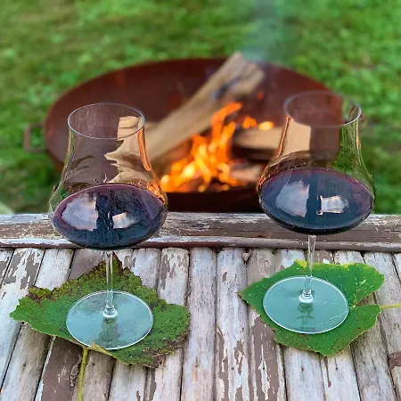 Pet And Breakfast Pet Friendly Moncalvo