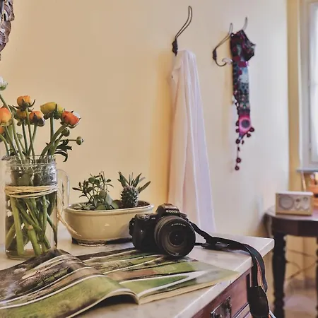 Pet And Breakfast Pet Friendly Appartamento Moncalvo