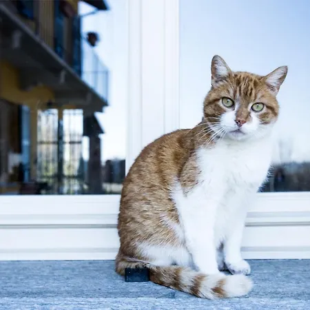 Apartmán Pet And Breakfast Pet Friendly Moncalvo