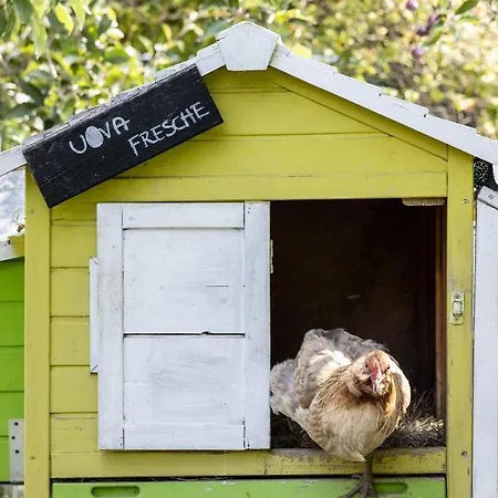 Pet And Breakfast Pet Friendly Moncalvo