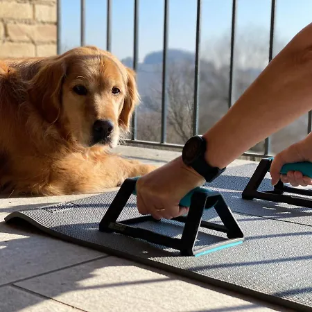 Apartmán Pet And Breakfast Pet Friendly