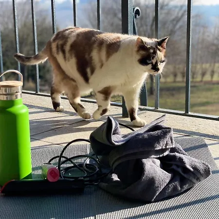 Apartmán Pet And Breakfast Pet Friendly