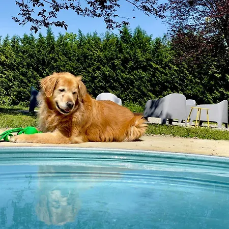 Pet And Breakfast Pet Friendly Apartmán Moncalvo